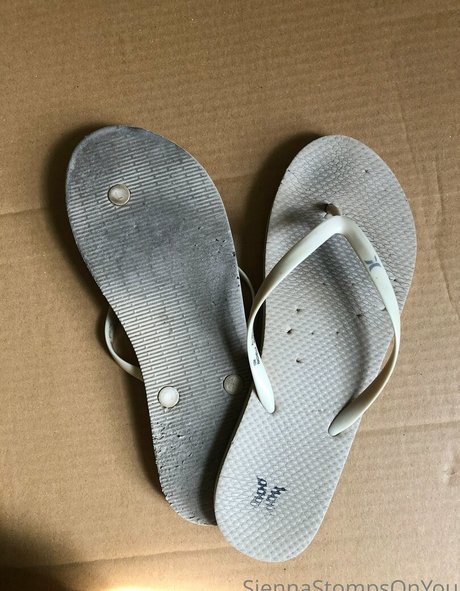 siennastompsonyou model art galleries