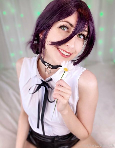 evvils nice star gallery