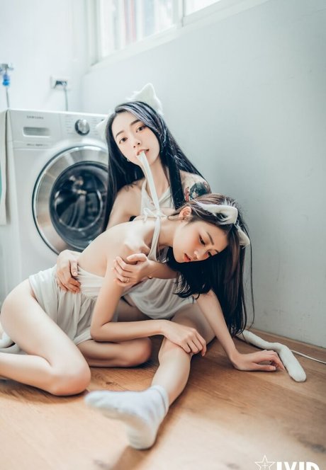 Tsai 919 model top photos