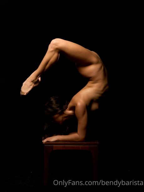 Bendy art star galleries