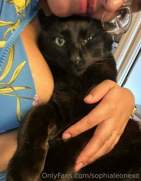 Sophialeonexo erotic actress img