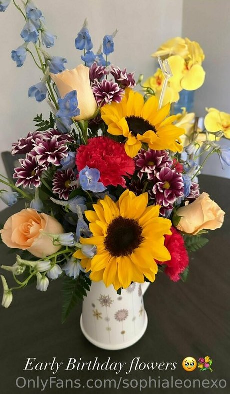 Sophialeonexo star sex photo