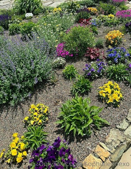 Sophialeonexo model hd picture