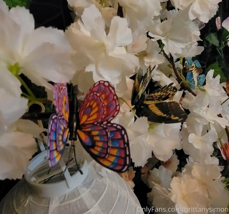 brittanysimon model nudes img