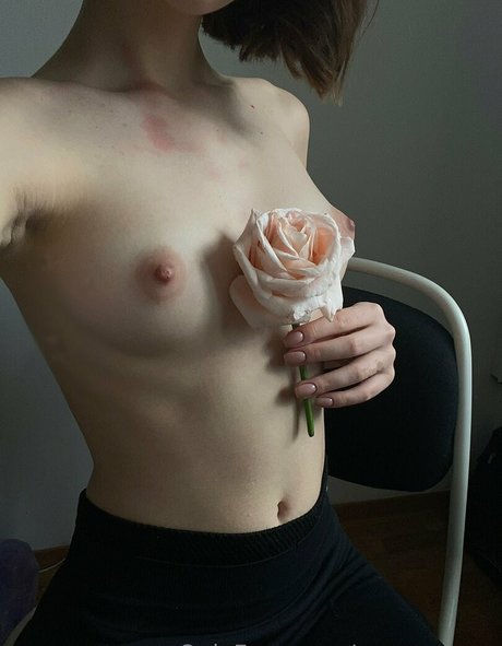 my name s star sex pictures