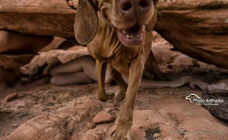 kaycilee pornstar hd photos