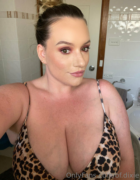 of dixie art model img