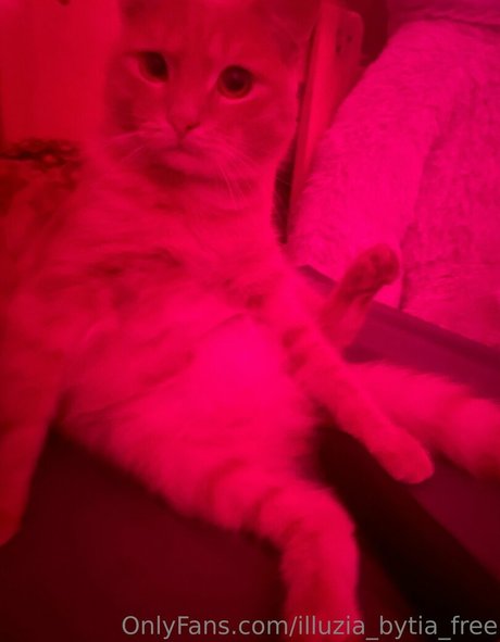 illuzia bytia free model top galleries