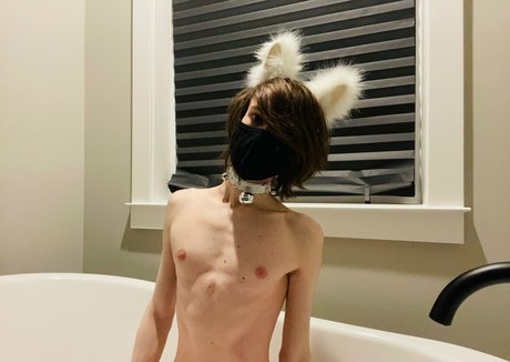 Catboiaoi adult actress pictures