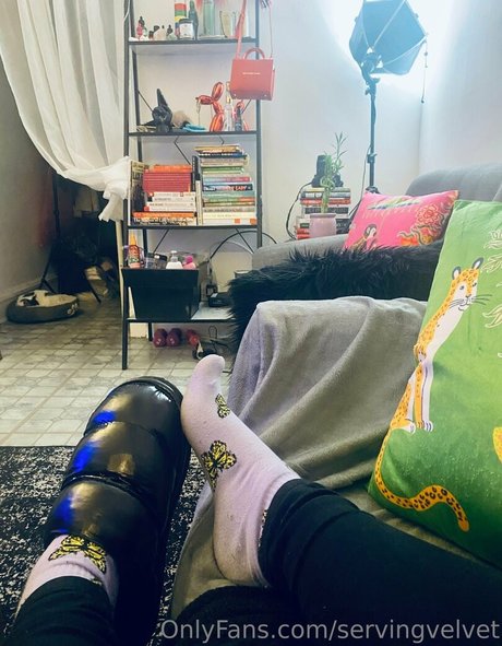 servingvelvet exclusive pornstar img