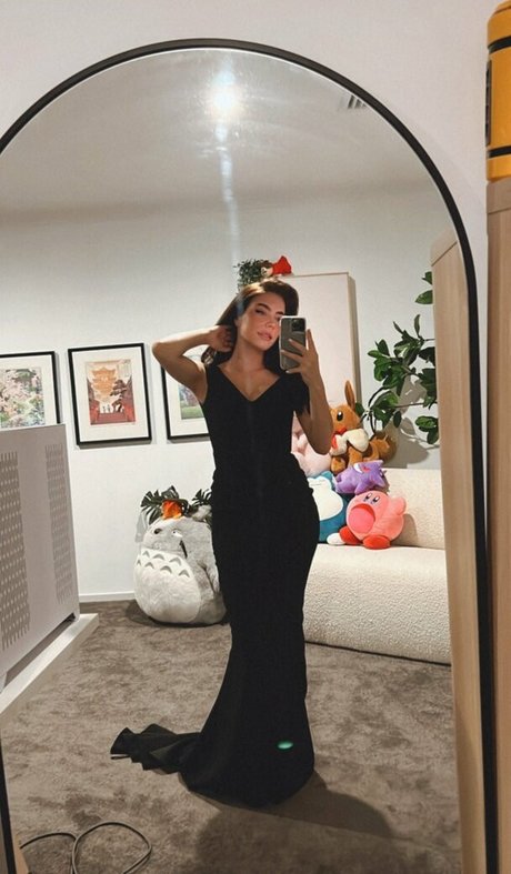 Paladinamber model high quality galleries