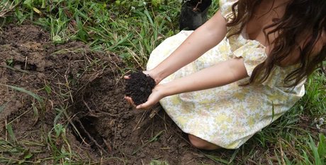 Mother The Mountain Farm star pretty photo