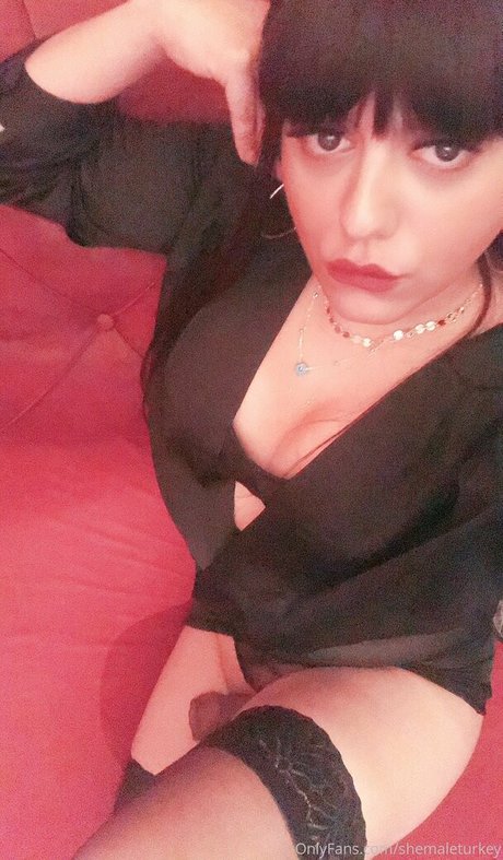 shemaleturkey pornographic star galleries