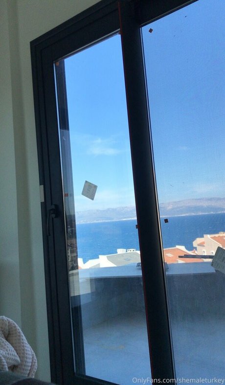 shemaleturkey star pornographic photos