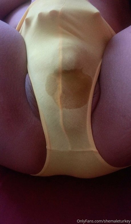 shemaleturkey pornstar pic