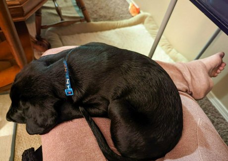 brandyelliott pornographic actress archive