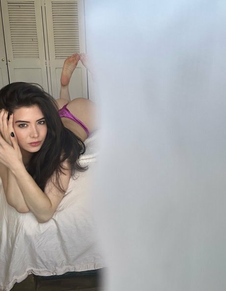 soifieeofficial star best archive