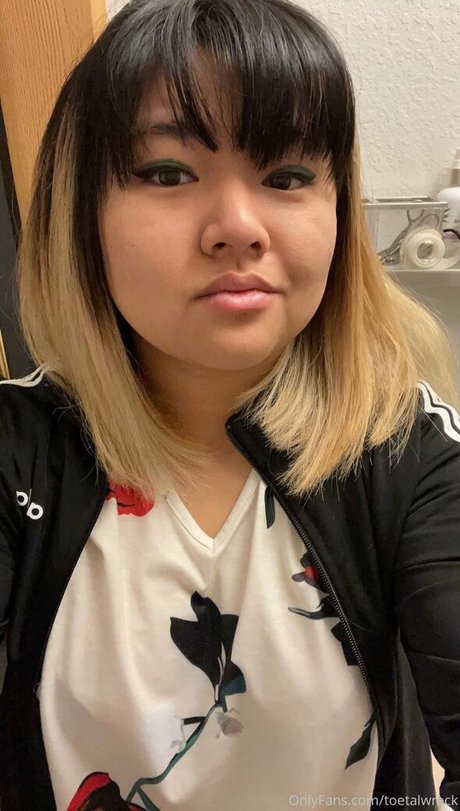 toetalwreck nice model archive