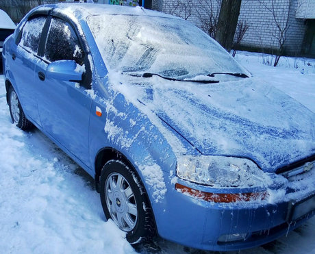 natalieflowers free model archive