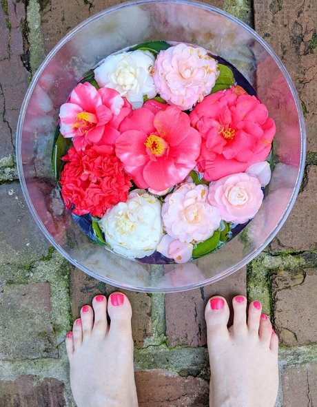 goddessaudreypine nude pornstar images