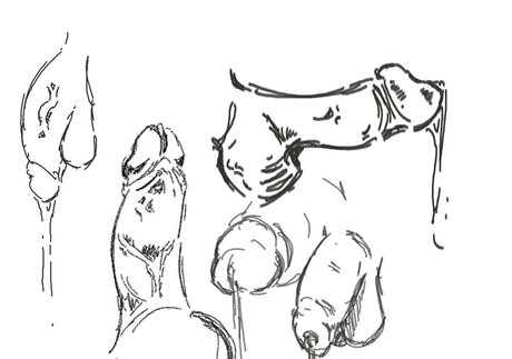 Ceresclouds xxx star pic