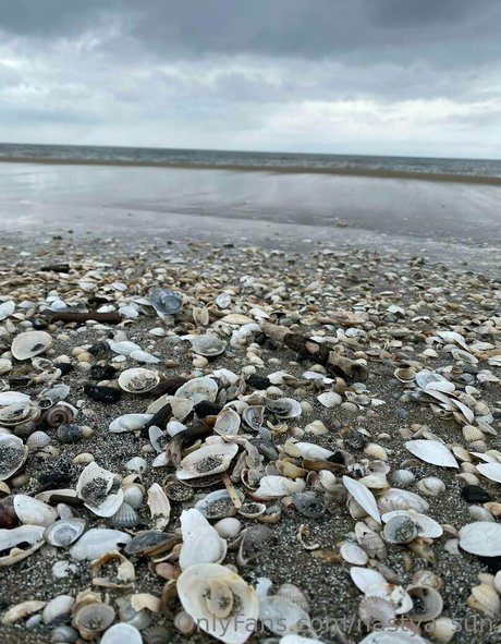 nastya sun Profile pic