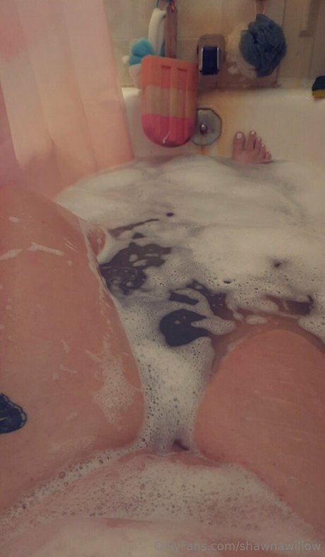 shawnawillow hot pornstar galleries