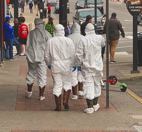 begformolly star pretty pics