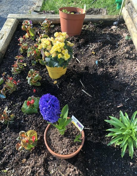 begformolly hd model image