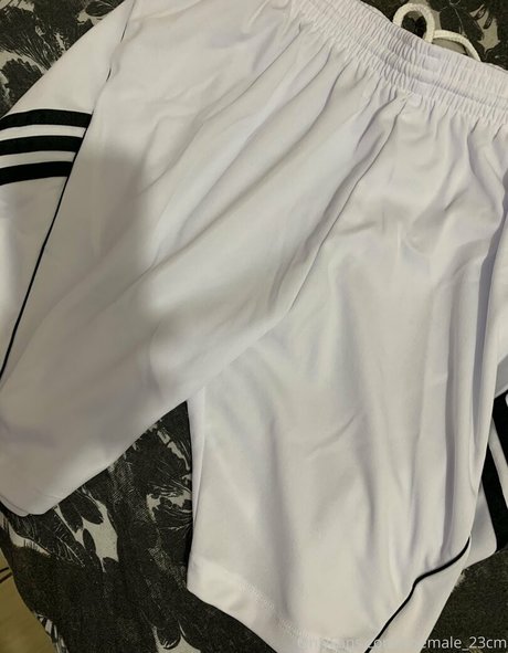 shemale 23cm star pornographic pics