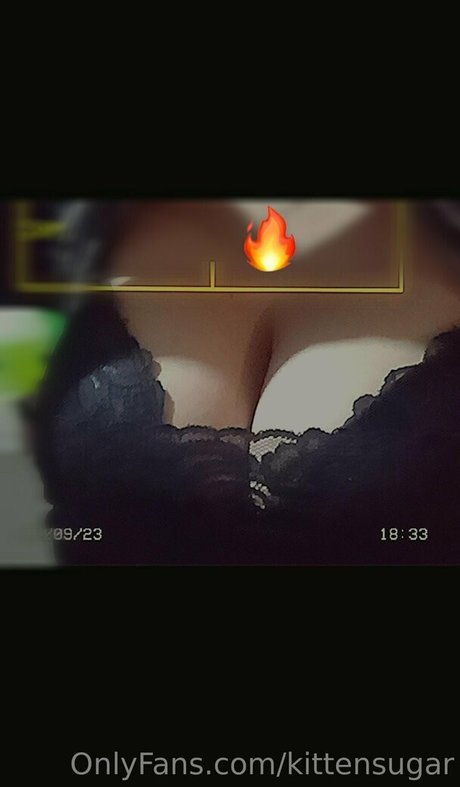 kittensugar pornstar free photo