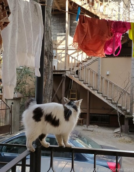 youreyeshere pornstar hd galleries