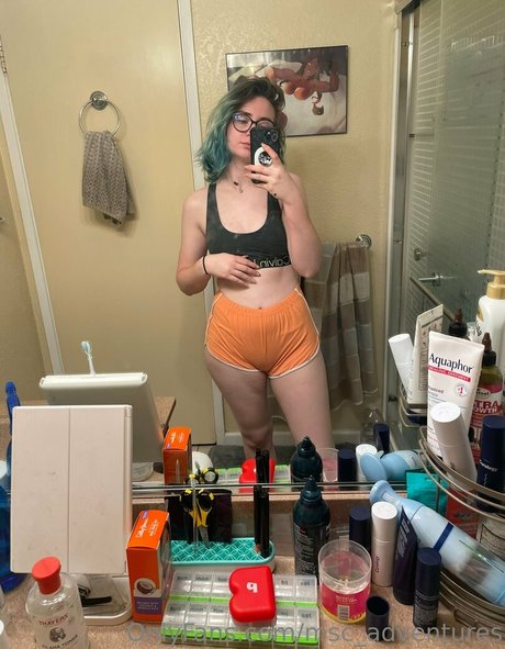 msc adventures free star images