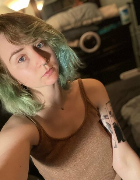 msc adventures pornstar xxx pictures