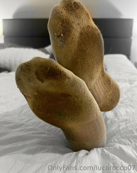 lucarocco07 model top image