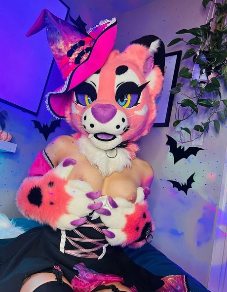 kirakittyxxx star perfect photo