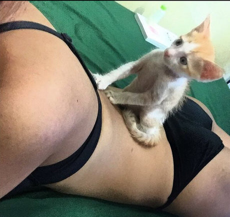 Sas Sy pornstar xxx pics