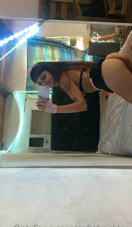 sofisfreckles art star gallery