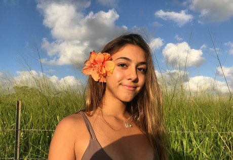 Heidii r free actress picture