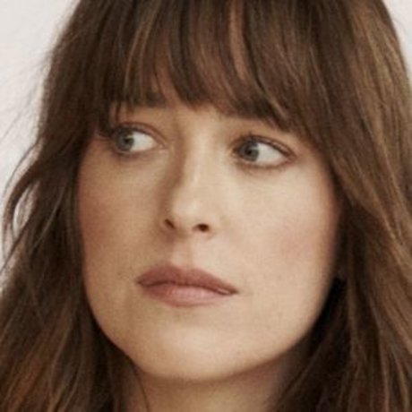 Dakota Johnson top pornstar pics