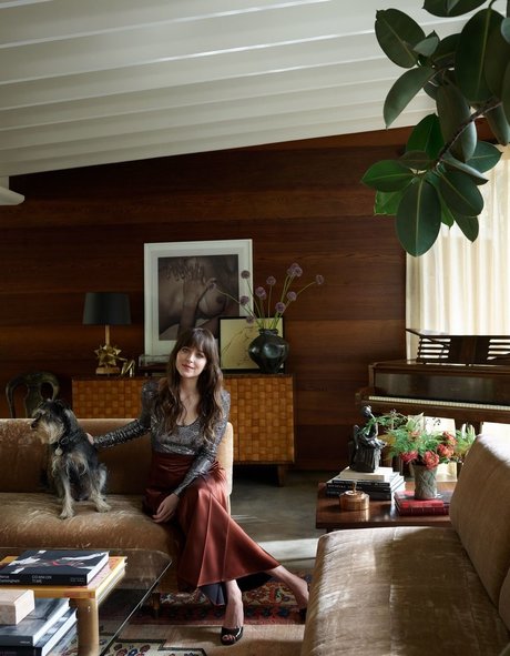 Dakota Johnson high quality actress pics