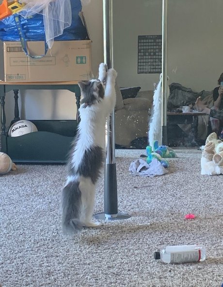 xangel 636 beautiful model pictures