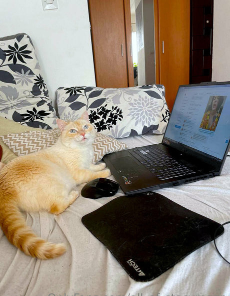 all of stacymoon hot pornstar galleries