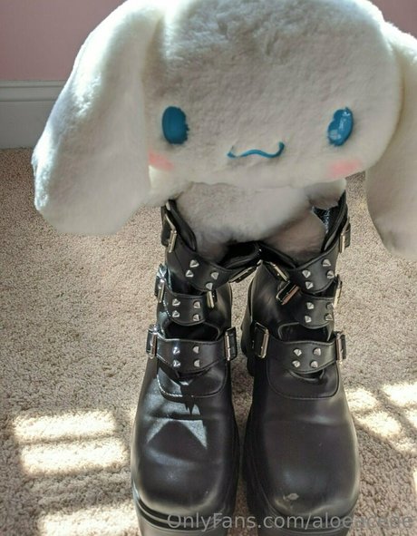 aloeaceae pornstar image