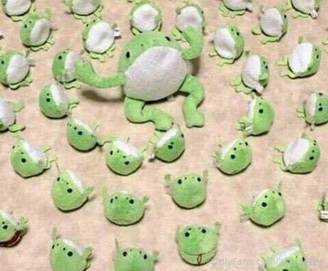 aloeaceae nice pornstar gallery