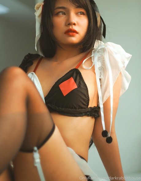 Darkrabbithouse star nude picture