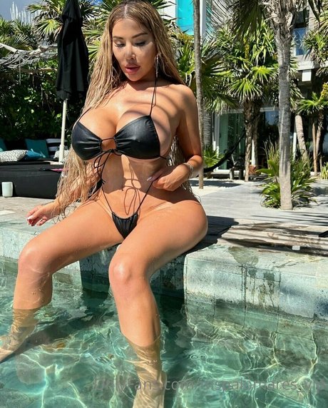 mspalomares vip star high quality images