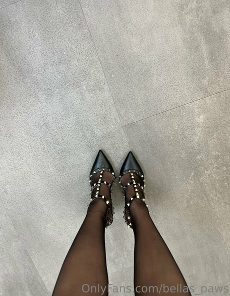 bellas paws model hot galleries