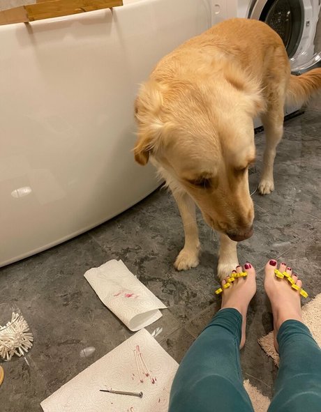 bellas paws sexy star picture