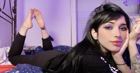 nordlys star pretty gallery